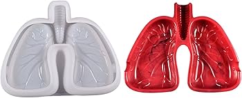 Amazon.co.jp: 灰皿型 シリコンモールド 肺型 はいざら 樹脂鋳造 金型 Amazon.co.jp: 灰皿型 シリコンモールド 肺型 はいざら 樹脂鋳造 金型